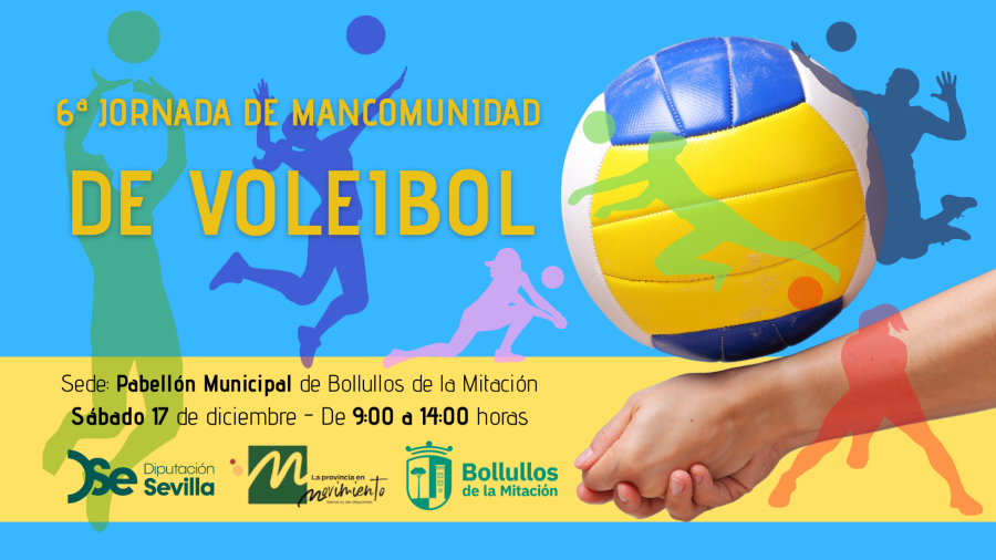 6voleyredes_web