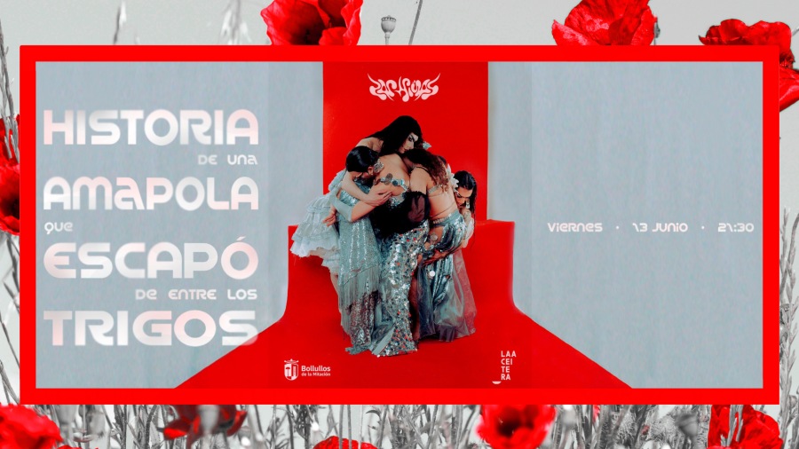 amapolaaceitera_web