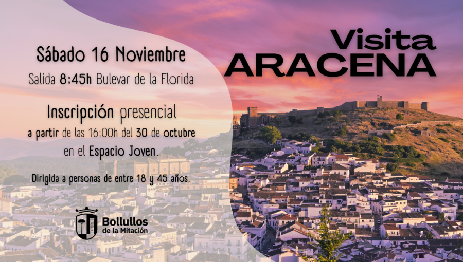 aracena_web