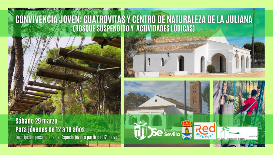 bosquesuspendido_web