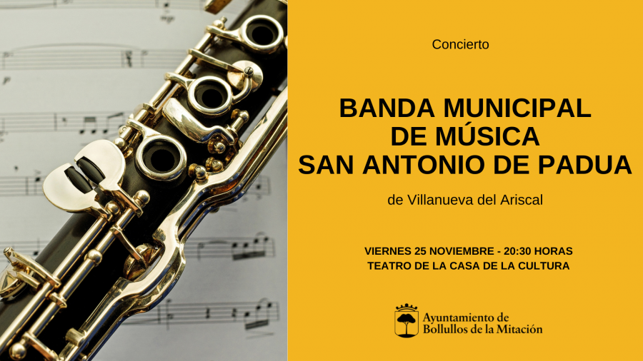 ConciertoBanda_25_nov_web