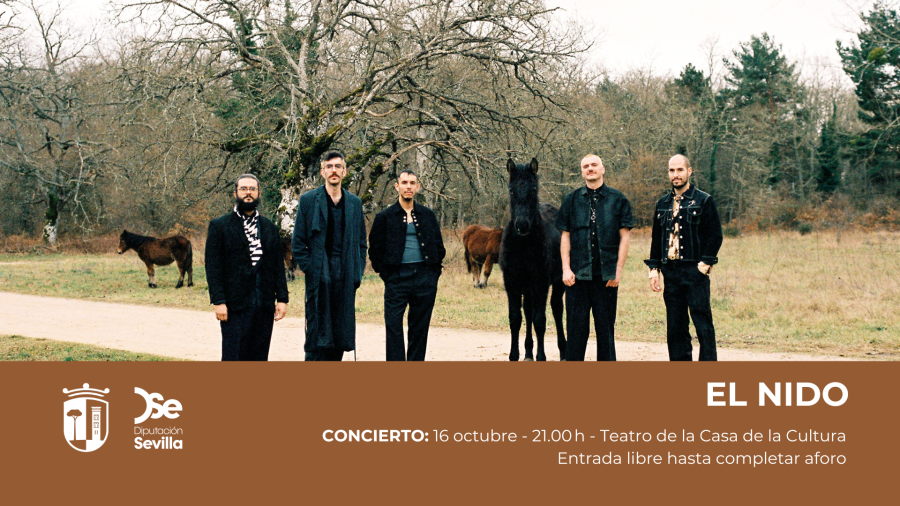 conciertoelnido25_web