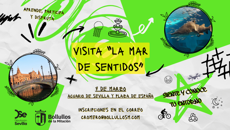 lamardesentidos_web