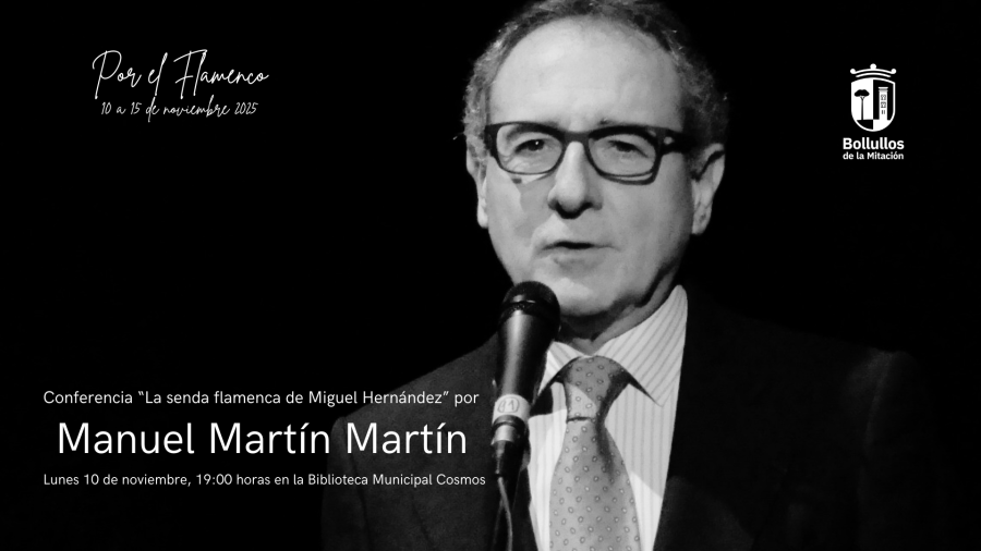 manuelmartinflamenco_web