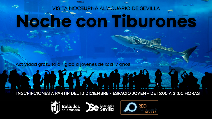 Tiburones_web