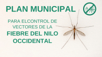 Tratamiento contra el mosquito adulto y larvas.