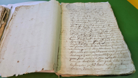Los libros más antiguos del archivo municipal de Bollullos de la Mitación.
