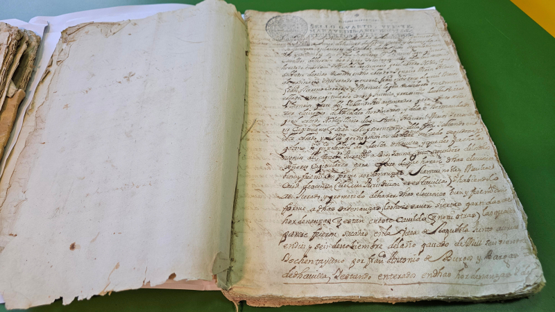 Los libros más antiguos del archivo municipal de Bollullos de la Mitación.